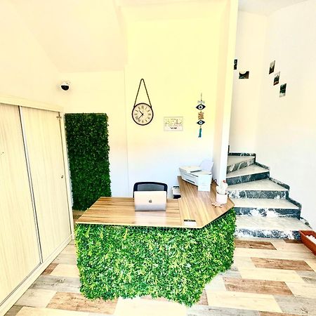 Bed And Beach Ипсос Екстериор снимка